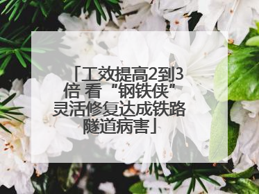 工效提高2到3倍 看“钢铁侠”灵活修复达成铁路隧道病害