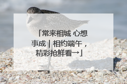 常来相城 心想事成｜相约端午，精彩抢鲜看→