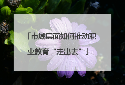 市域层面如何推动职业教育“走出去”