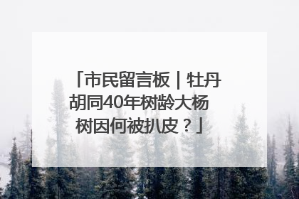市民留言板｜牡丹胡同40年树龄大杨树因何被扒皮？