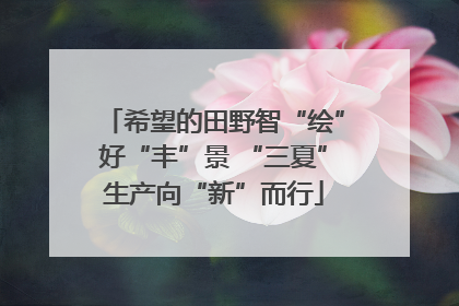希望的田野智“绘”好“丰”景 “三夏”生产向“新”而行
