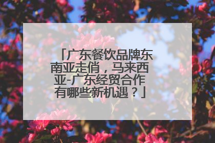 广东餐饮品牌东南亚走俏，马来西亚-广东经贸合作有哪些新机遇？