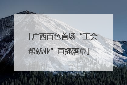 广西百色首场“工会帮就业”直播落幕