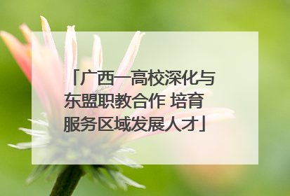 广西一高校深化与东盟职教合作 培育服务区域发展人才