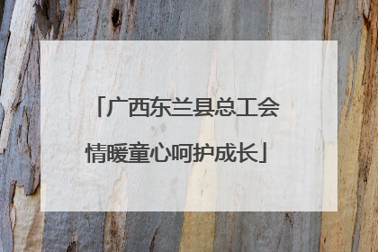 广西东兰县总工会情暖童心呵护成长