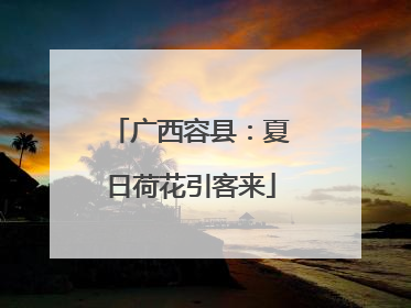 广西容县：夏日荷花引客来