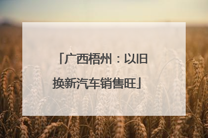 广西梧州：以旧换新汽车销售旺