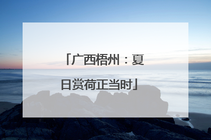广西梧州：夏日赏荷正当时