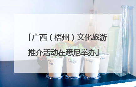 广西（梧州）文化旅游推介活动在悉尼举办