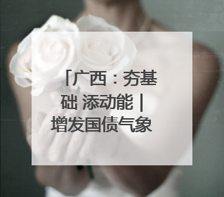 广西：夯基础 添动能｜增发国债气象项目落地见效系列报道