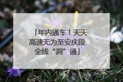 年内通车！天天高速无为至安庆段全线“洞”通