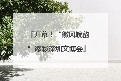 开幕！“徽风皖韵”添彩深圳文博会