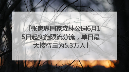 张家界国家森林公园6月15日起实施限流分流，单日最大接待量为5.3万人