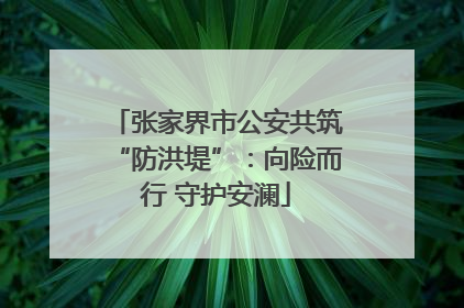 张家界市公安共筑“防洪堤”：向险而行 守护安澜