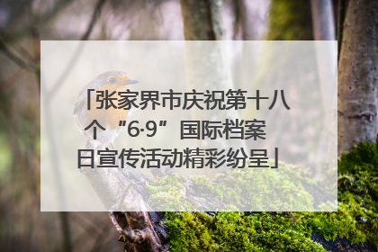 张家界市庆祝第十八个“6·9”国际档案日宣传活动精彩纷呈