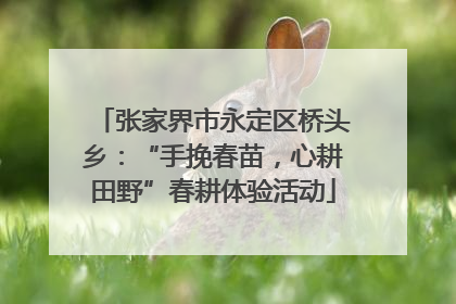 张家界市永定区桥头乡：“手挽春苗，心耕田野”春耕体验活动