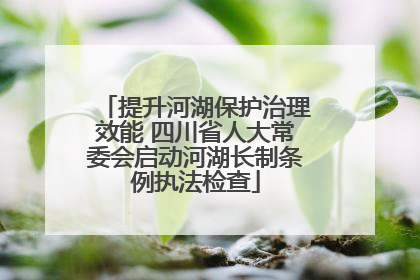 提升河湖保护治理效能 四川省人大常委会启动河湖长制条例执法检查