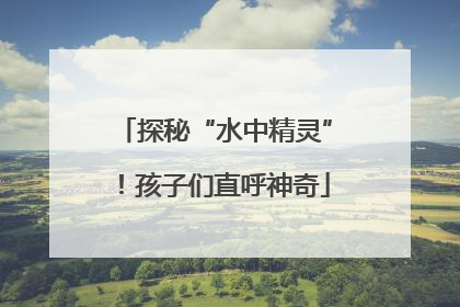 探秘“水中精灵”！孩子们直呼神奇