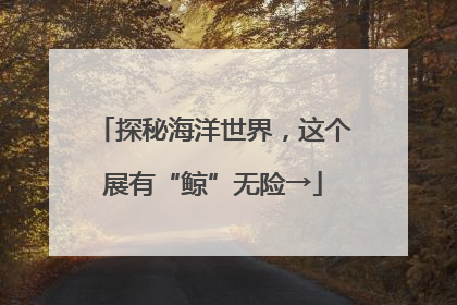 探秘海洋世界，这个展有“鲸”无险→