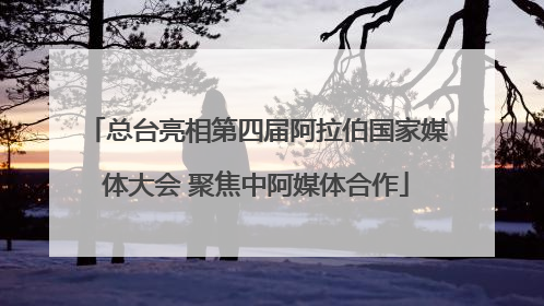 总台亮相第四届阿拉伯国家媒体大会 聚焦中阿媒体合作