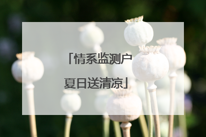 情系监测户 夏日送清凉
