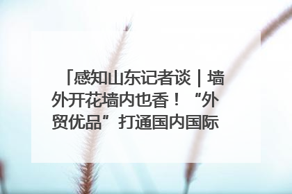 感知山东记者谈｜墙外开花墙内也香！“外贸优品”打通国内国际市场“旋转门”