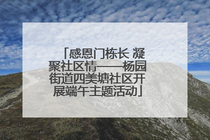 感恩门栋长 凝聚社区情——杨园街道四美塘社区开展端午主题活动