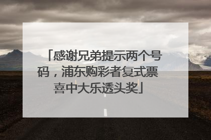 感谢兄弟提示两个号码，浦东购彩者复式票喜中大乐透头奖