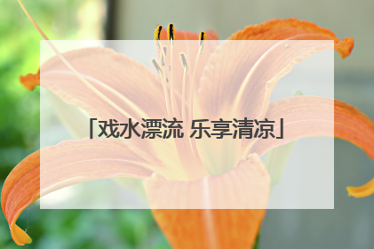 戏水漂流 乐享清凉