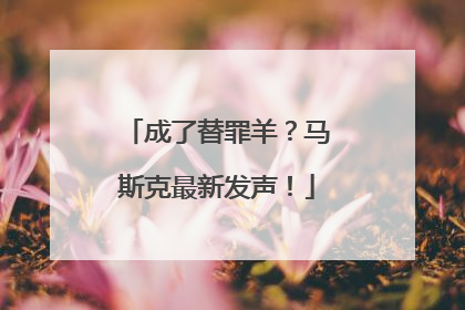成了替罪羊？马斯克最新发声！