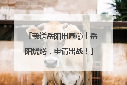 我送岳阳出圈③丨岳阳烧烤，申请出战！