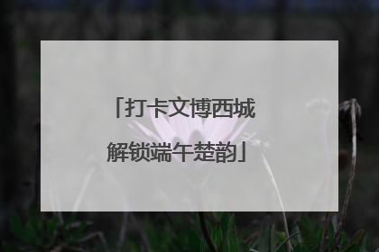 打卡文博西城 解锁端午楚韵