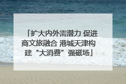 扩大内外需潜力 促进商文旅融合 港城天津构建“大消费”强磁场