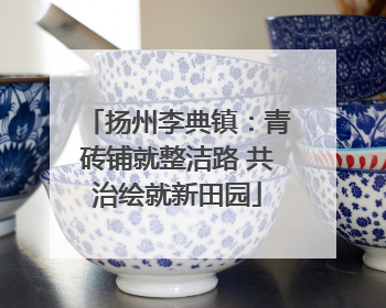 扬州李典镇：青砖铺就整洁路 共治绘就新田园