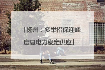 扬州：多举措保迎峰度夏电力稳定供应