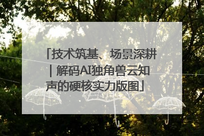 技术筑基、场景深耕｜解码AI独角兽云知声的硬核实力版图