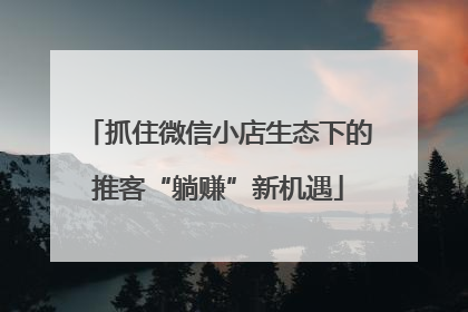 抓住微信小店生态下的推客“躺赚”新机遇