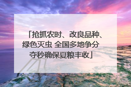 抢抓农时、改良品种、绿色灭虫 全国多地争分夺秒确保夏粮丰收