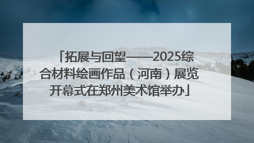 拓展与回望——2025综合材料绘画作品（河南）展览开幕式在郑州美术馆举办