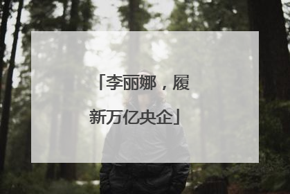李丽娜，履新万亿央企