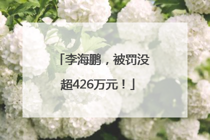 李海鹏，被罚没超426万元！