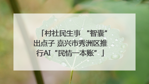 村社民生事 “智囊”出点子 嘉兴市秀洲区推行AI“民情一本账”