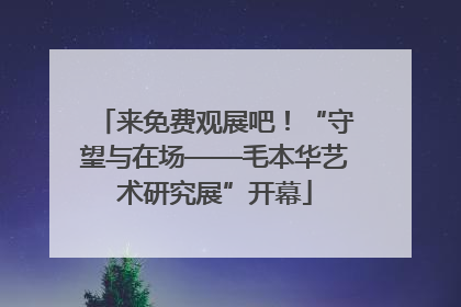 来免费观展吧！“守望与在场——毛本华艺术研究展”开幕