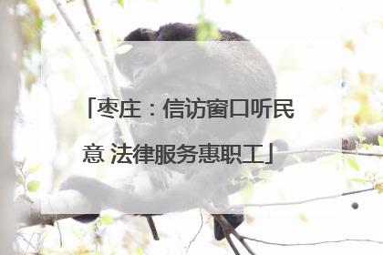 枣庄：信访窗口听民意 法律服务惠职工