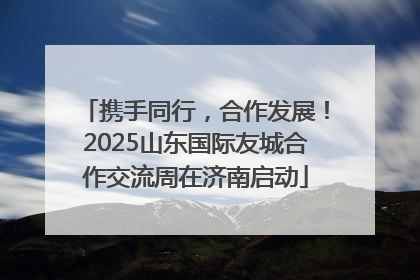 携手同行，合作发展！2025山东国际友城合作交流周在济南启动
