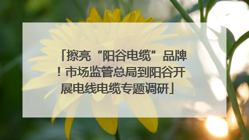 擦亮“阳谷电缆”品牌！市场监管总局到阳谷开展电线电缆专题调研