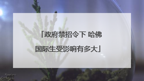 政府禁招令下 哈佛国际生受影响有多大