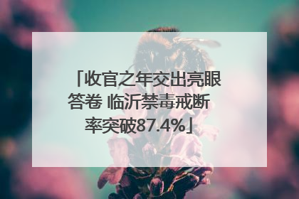 收官之年交出亮眼答卷 临沂禁毒戒断率突破87.4%