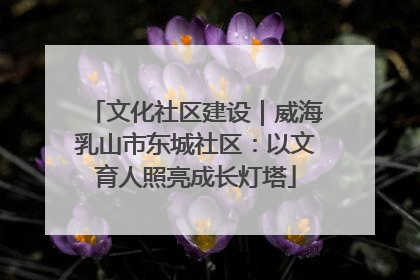 文化社区建设｜威海乳山市东城社区：以文育人照亮成长灯塔
