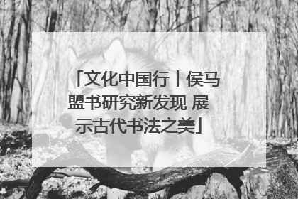 文化中国行丨侯马盟书研究新发现 展示古代书法之美